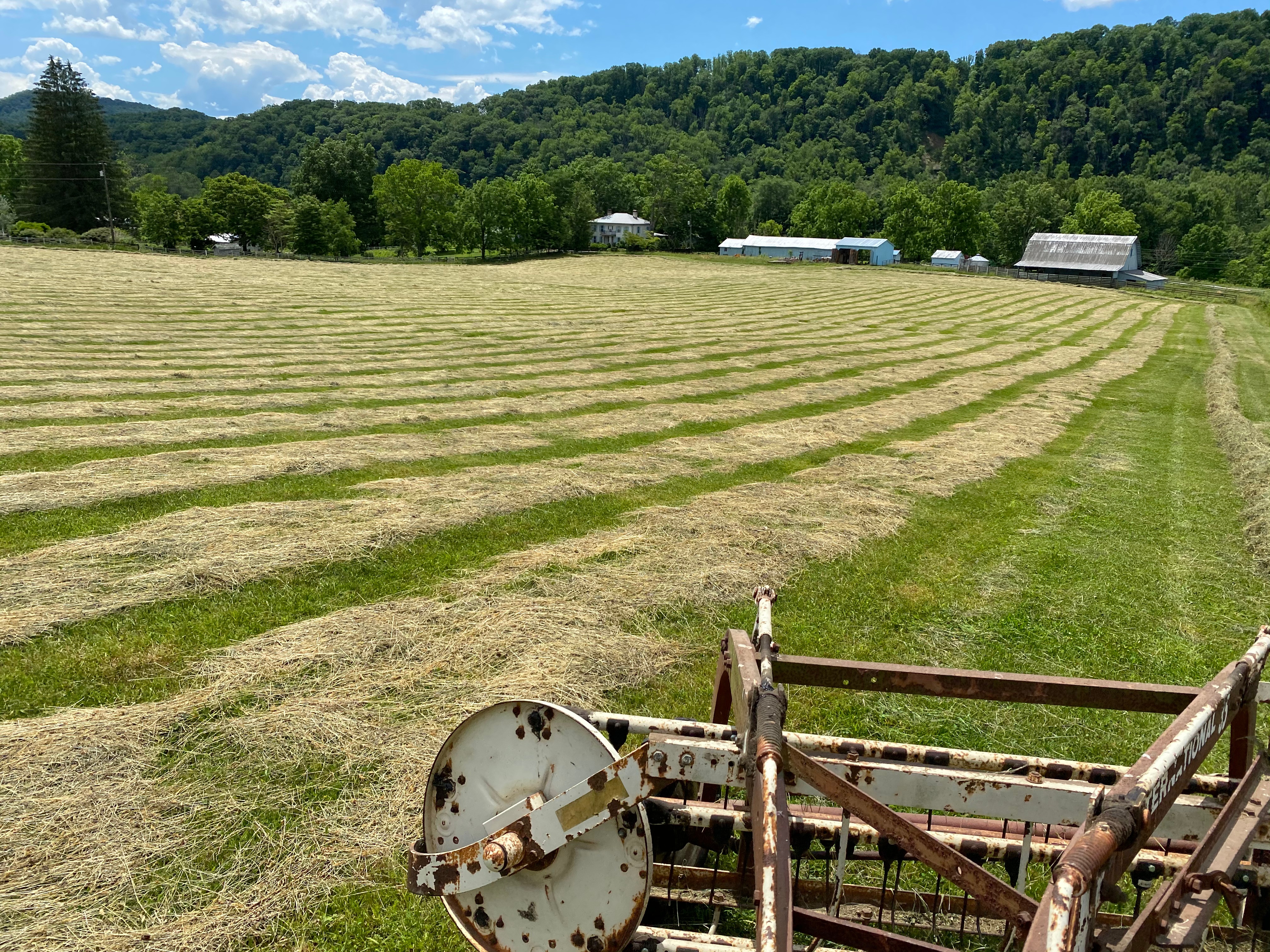 A field of freshly cut hay with rows of dried grass, surrounded by trees and distant farm buildings under a blue sky with clouds.